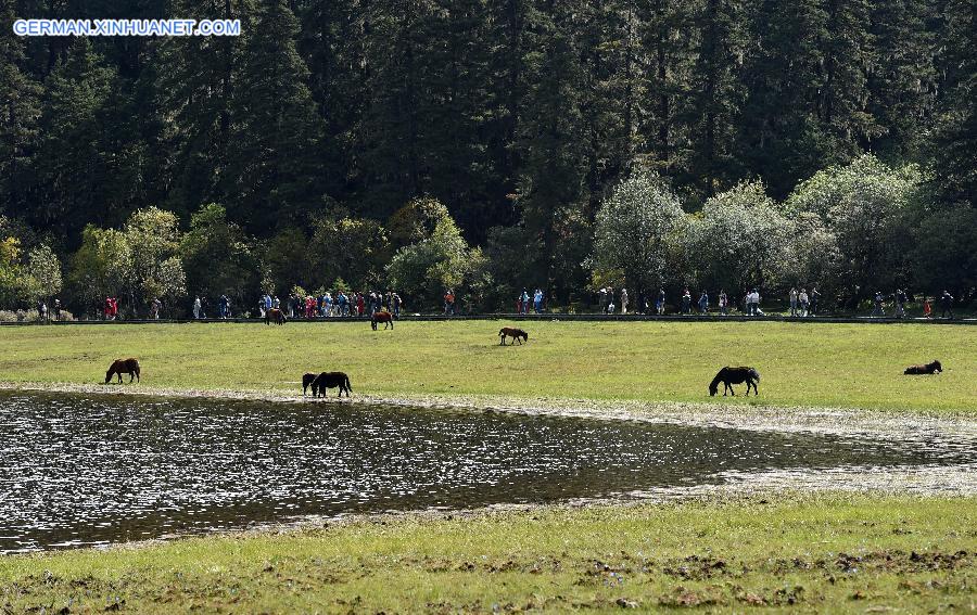 CHINA-YUNNAN-SHANGRI-LA-POTATSO NATIONAL PARK (CN)