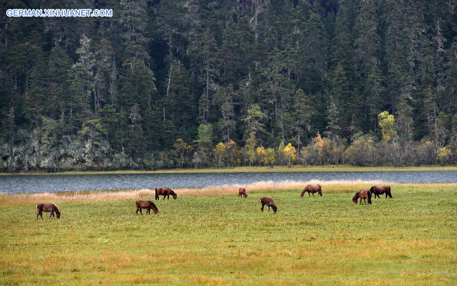 CHINA-YUNNAN-SHANGRI-LA-POTATSO NATIONAL PARK (CN)