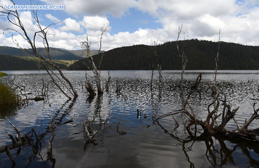 CHINA-YUNNAN-SHANGRI-LA-POTATSO NATIONAL PARK (CN)