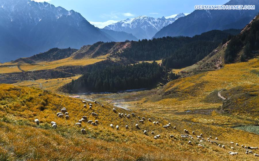 #CHINA-GANSU-QILIANSHAN-SCENERY (CN)