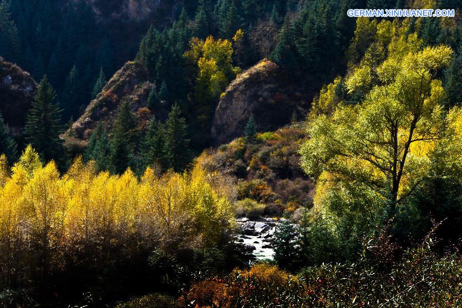 #CHINA-GANSU-QILIANSHAN-SCENERY (CN)