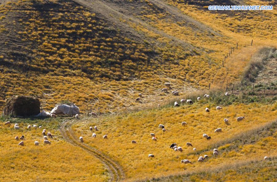 #CHINA-GANSU-QILIANSHAN-SCENERY (CN)