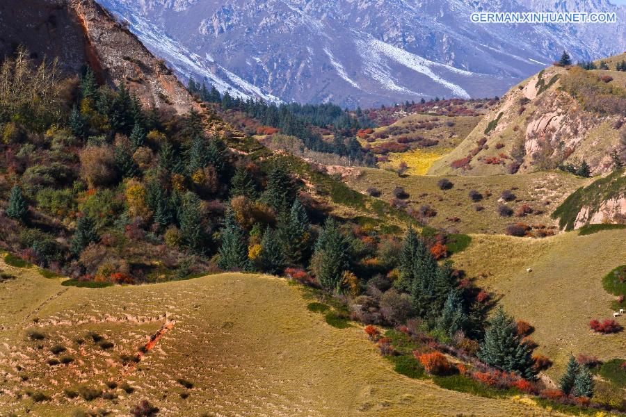 #CHINA-GANSU-QILIANSHAN-SCENERY (CN)