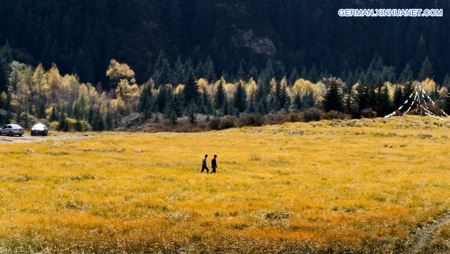 #CHINA-GANSU-QILIANSHAN-SCENERY (CN)