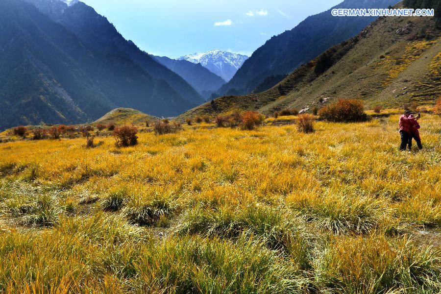 #CHINA-GANSU-QILIANSHAN-SCENERY (CN)