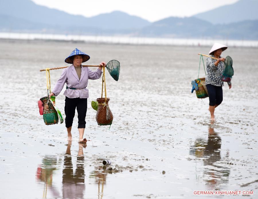 CHINA-FUZHOU-SHELLFISH HARVEST (CN)