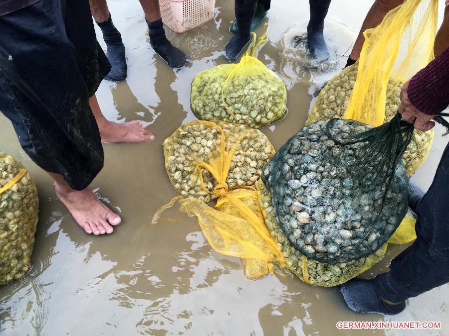 CHINA-FUZHOU-SHELLFISH HARVEST (CN)