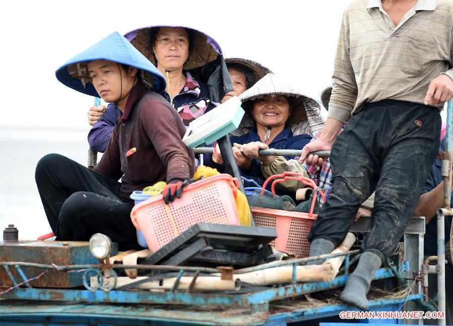 CHINA-FUZHOU-SHELLFISH HARVEST (CN)