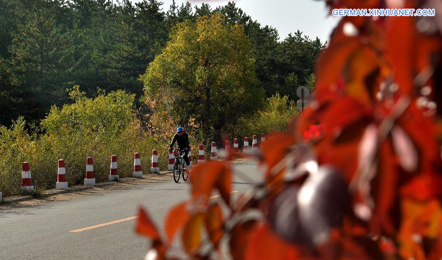 CHINA-HOHHOT-AUTUMN SCENERY (CN)