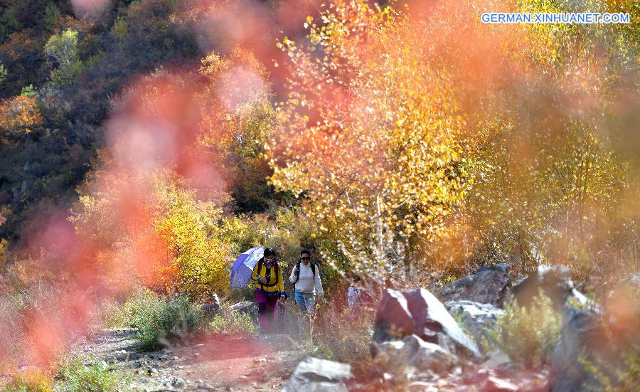 CHINA-HOHHOT-AUTUMN SCENERY (CN)