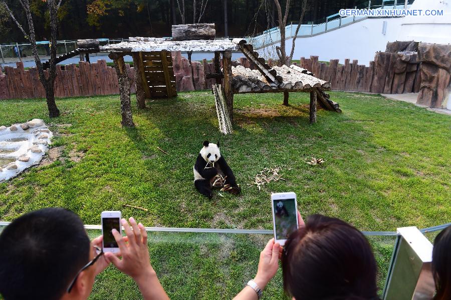 CHINA-JILIN-HOLIDAY-PANDA (CN)