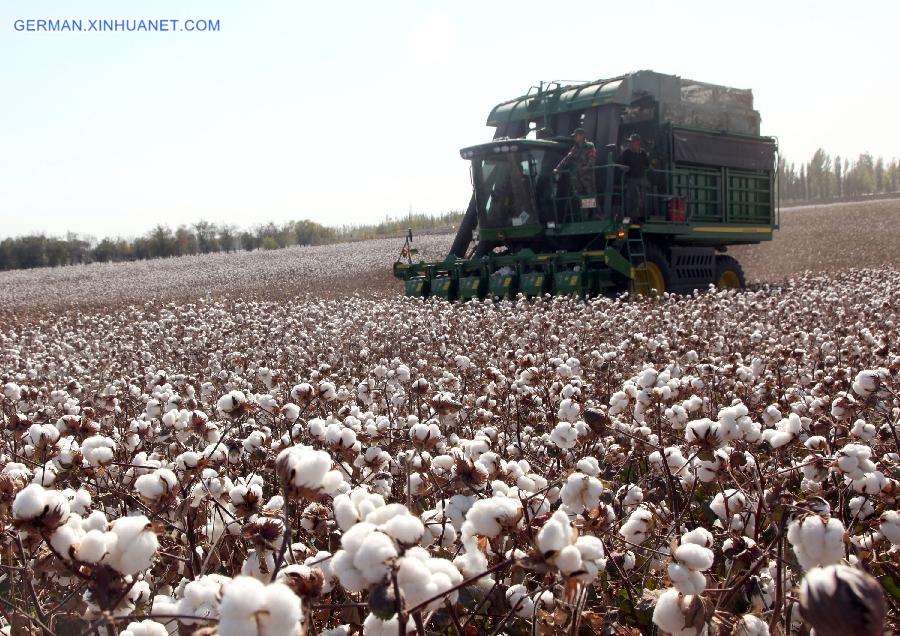 #CHINA-AUTUMN-FARM WORK (CN)