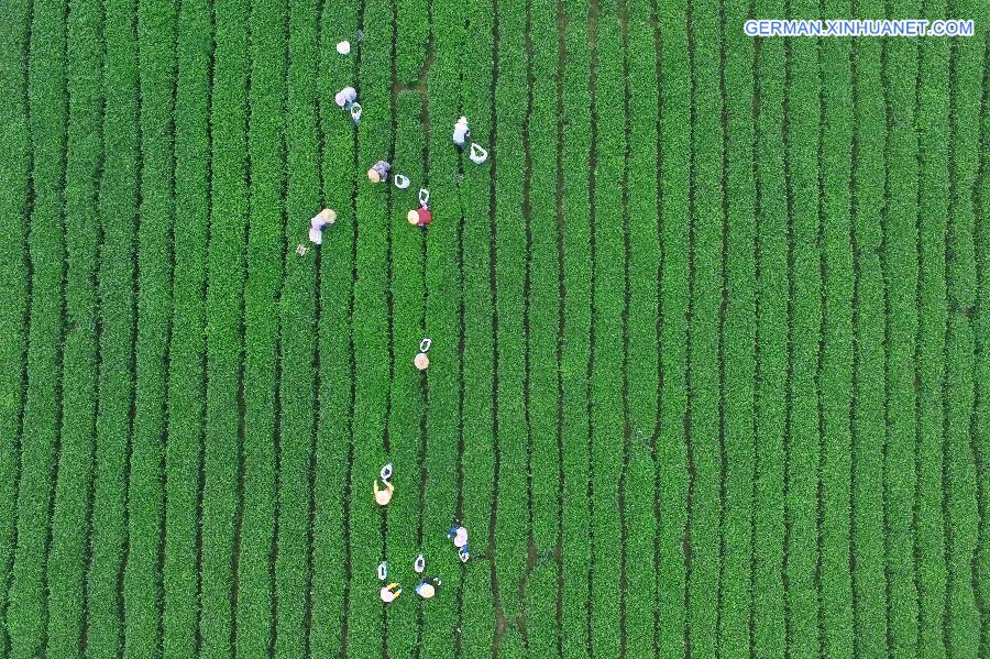 #CHINA-AUTUMN SCENERY (CN)