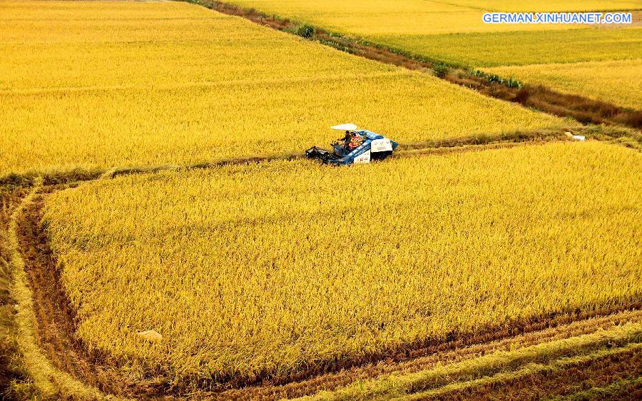 #CHINA-AUTUMN SCENERY (CN)