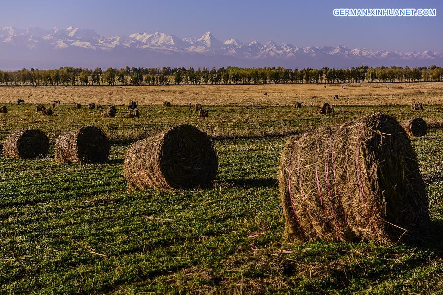 CHINA-XINJIANG-HERDSMEN-WINTER PASTURES (CN)   