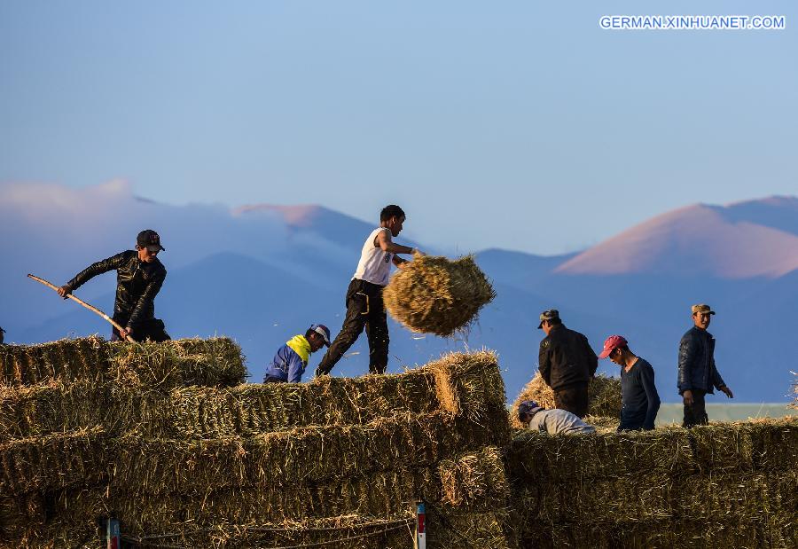 CHINA-XINJIANG-HERDSMEN-WINTER PASTURES (CN)   