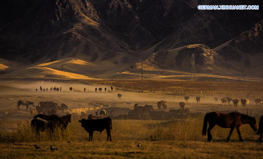 CHINA-XINJIANG-HERDSMEN-WINTER PASTURES (CN)   