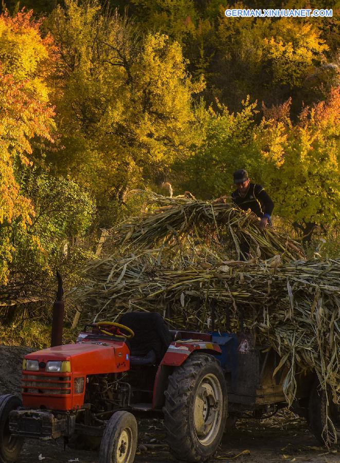 CHINA-XINJIANG-HERDSMEN-WINTER PASTURES (CN)   