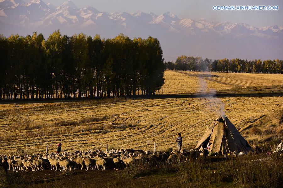 CHINA-XINJIANG-HERDSMEN-WINTER PASTURES (CN)   