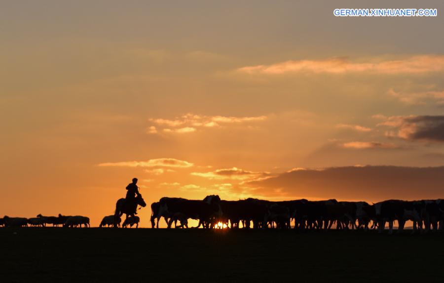 CHINA-XINJIANG-HERDSMEN-WINTER PASTURES (CN)   