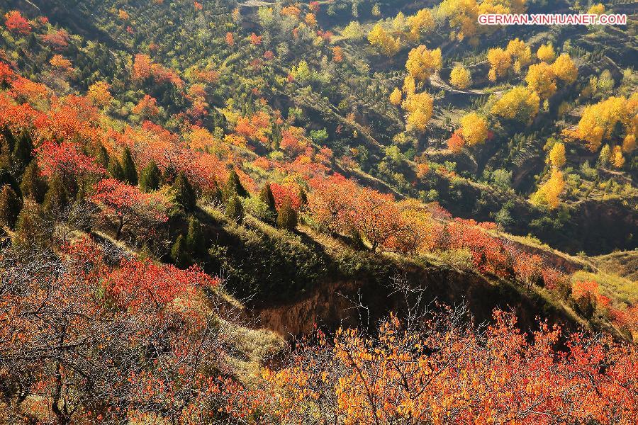 #CHINA-GANSU-DINGXI-SCENERY (CN)