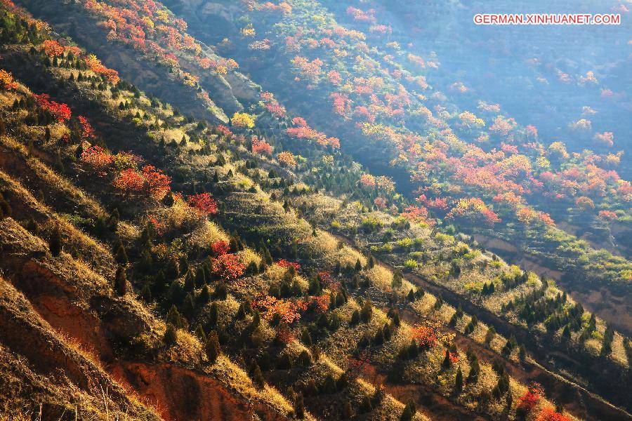 #CHINA-GANSU-DINGXI-SCENERY (CN)