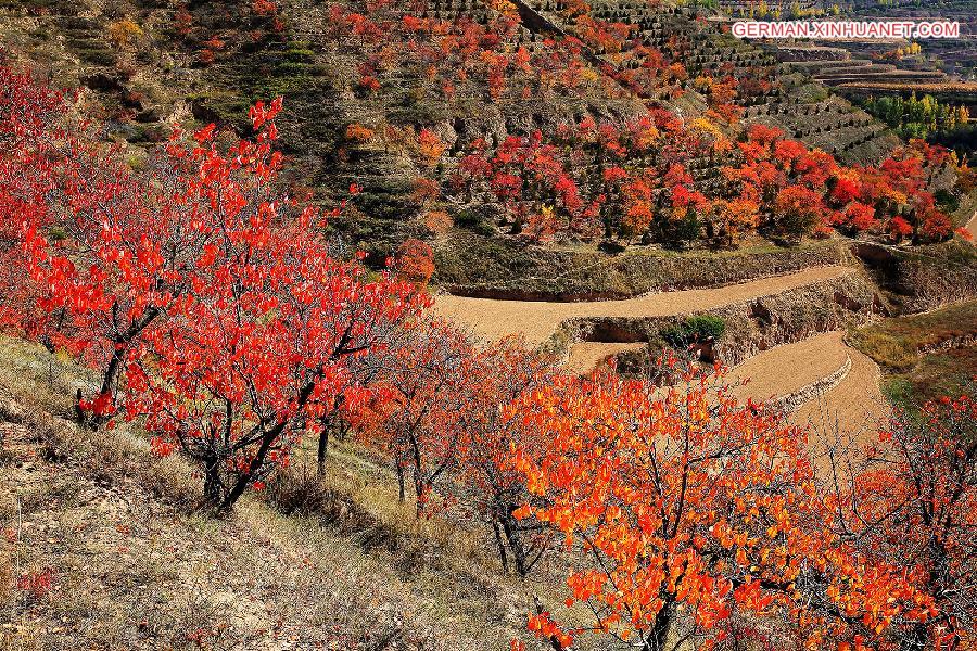 #CHINA-GANSU-DINGXI-SCENERY (CN)