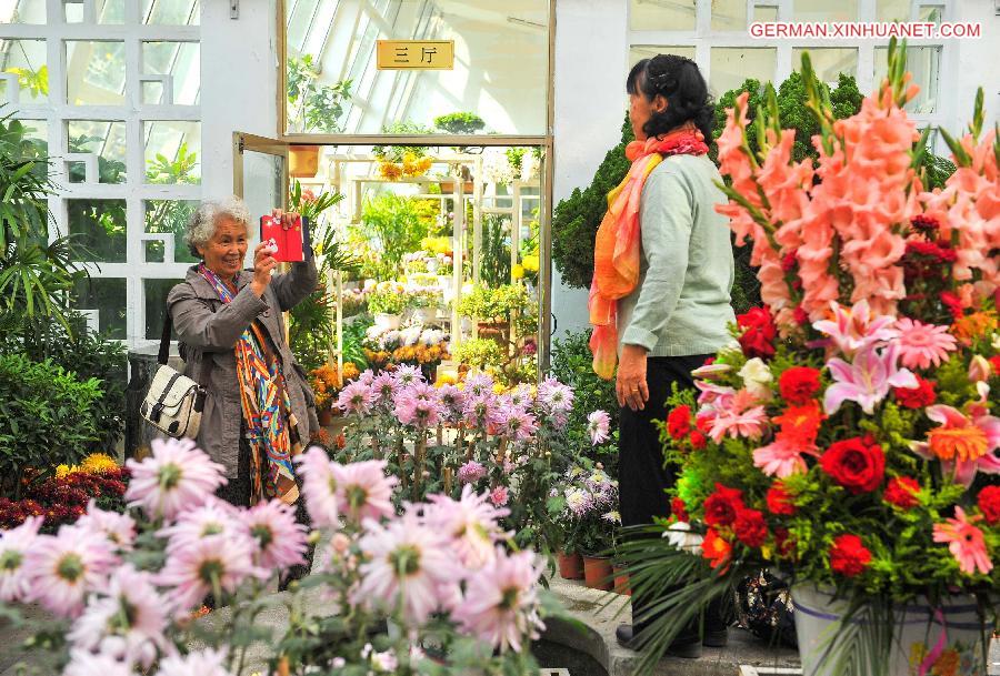 CHINA-CHANGCHUN-CHRYSANTHEMUM SHOW (CN) 