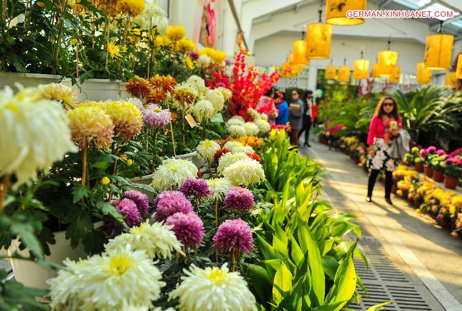 CHINA-CHANGCHUN-CHRYSANTHEMUM SHOW (CN) 