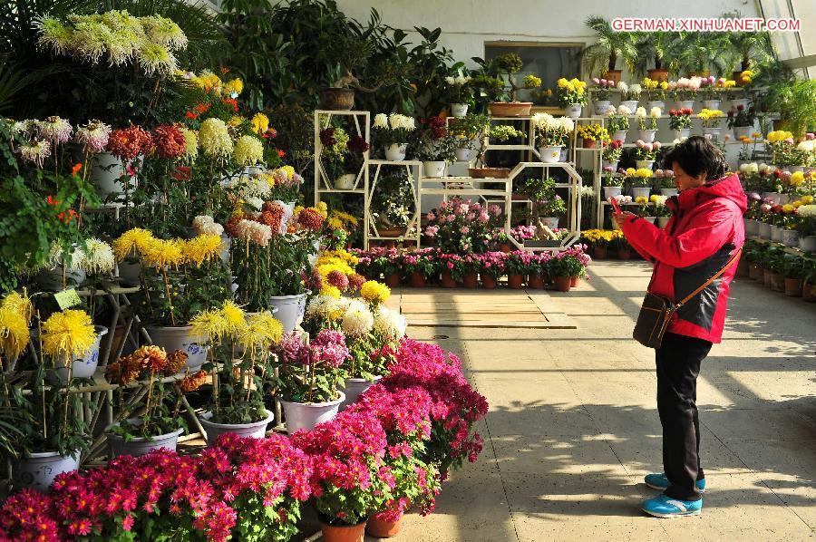 CHINA-CHANGCHUN-CHRYSANTHEMUM SHOW (CN) 