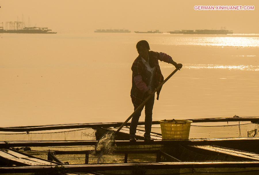 #CHINA-JIANGXI-DUCHANG-SHRIMP-HARVEST (CN)