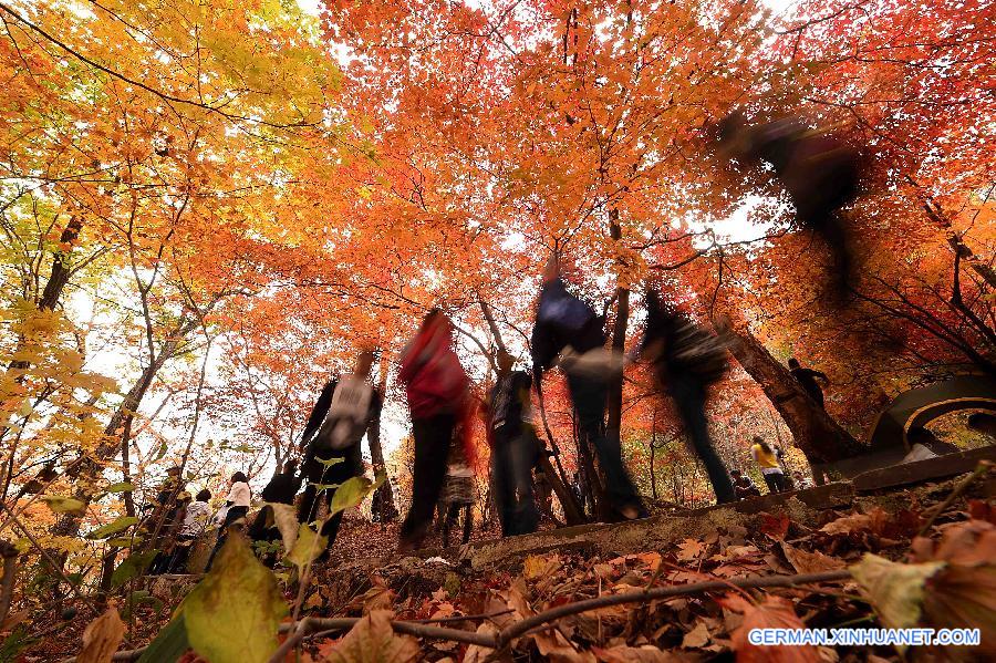 WEEKLY CHOICES OF XINHUA PHOTO