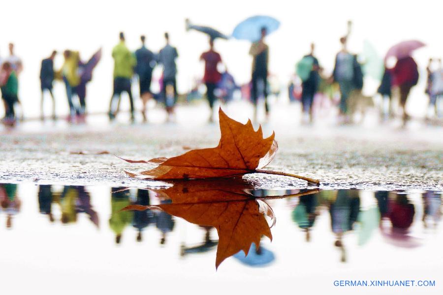 WEEKLY CHOICES OF XINHUA PHOTO