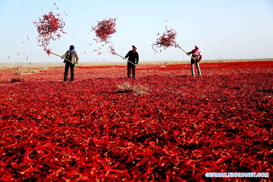 WEEKLY CHOICES OF XINHUA PHOTO