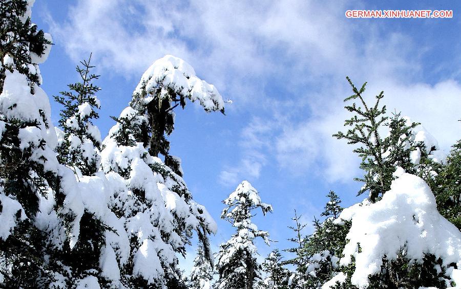 #CHINA-SICHUAN-SNOW(CN)