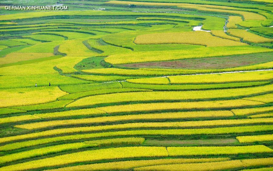 #CHINA-AUTUMN-SCENERY(CN)