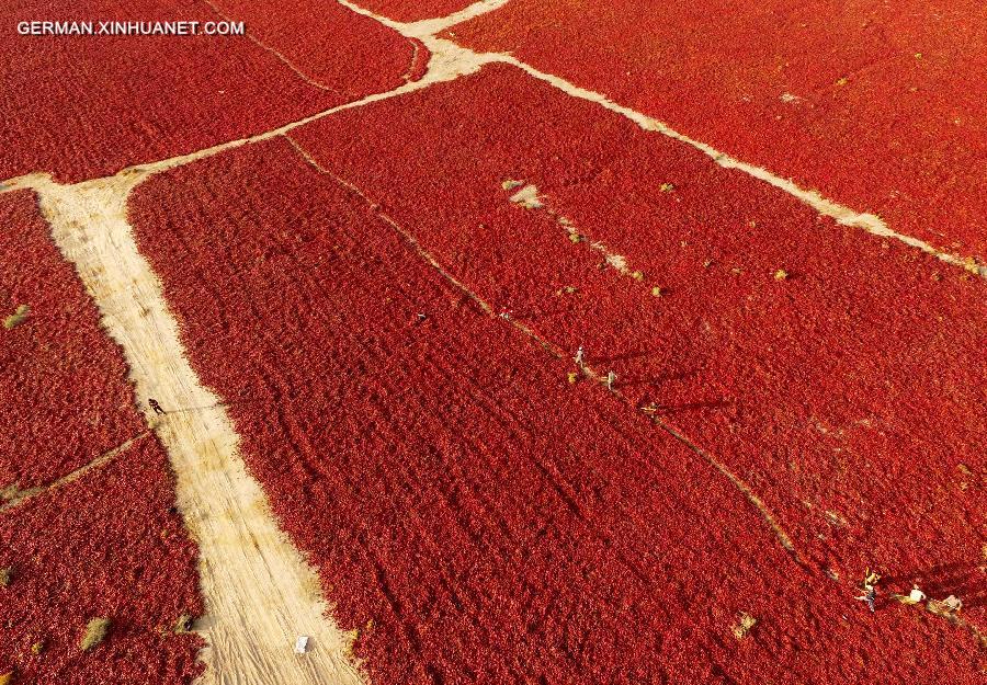 #CHINA-AUTUMN-SCENERY(CN)