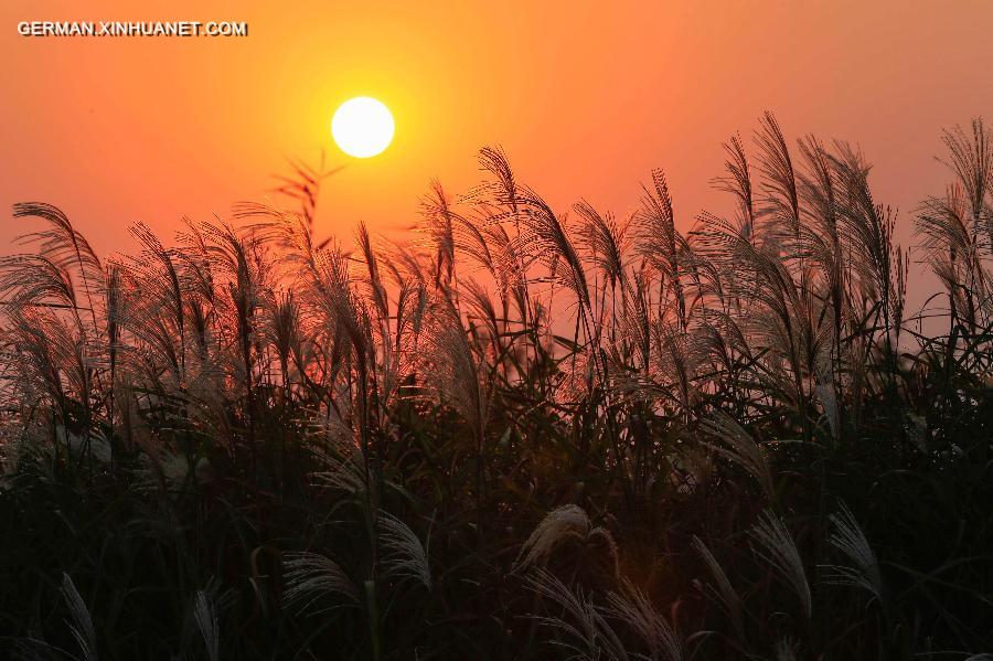 #CHINA-AUTUMN-SCENERY(CN)