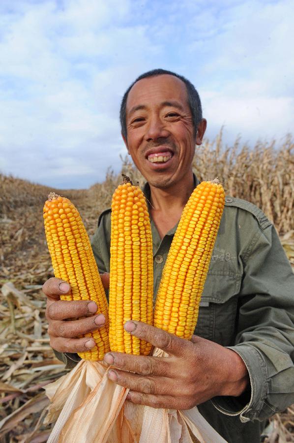 CHINA-JILIN-HARVEST(CN)