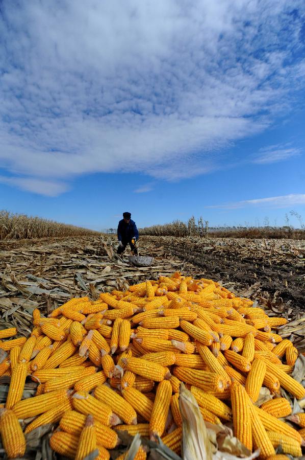 CHINA-JILIN-HARVEST(CN)