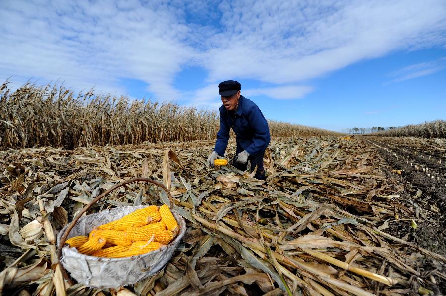 CHINA-JILIN-HARVEST(CN)