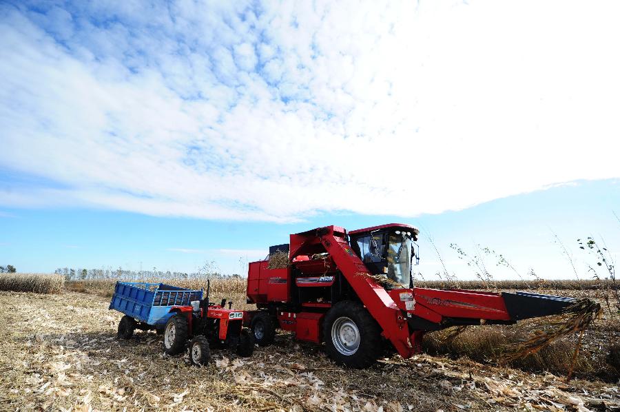 CHINA-JILIN-HARVEST(CN)