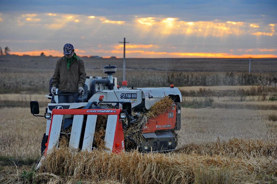 CHINA-JILIN-HARVEST(CN)