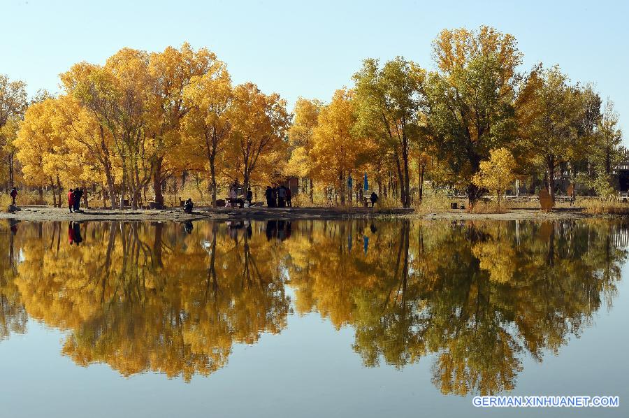 CHINA-GANSU-DESERT-AUTUMN SCENERY (CN)