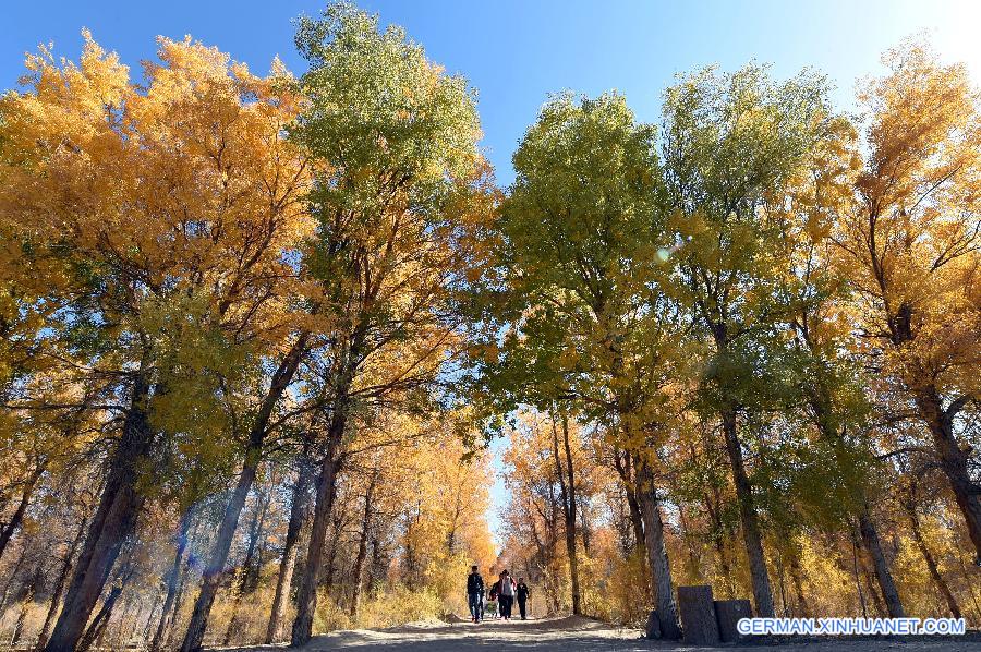 CHINA-GANSU-DESERT-AUTUMN SCENERY (CN)