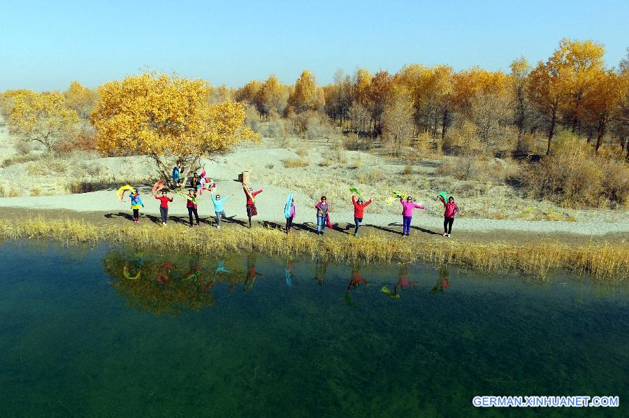 CHINA-GANSU-DESERT-AUTUMN SCENERY (CN)