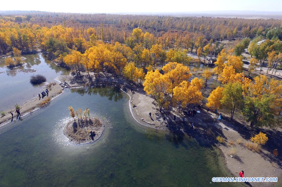 CHINA-GANSU-DESERT-AUTUMN SCENERY (CN)