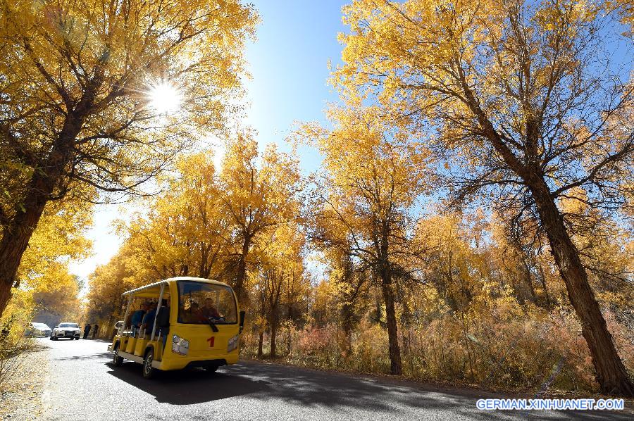 CHINA-GANSU-DESERT-AUTUMN SCENERY (CN)