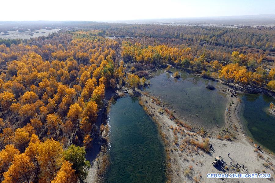 CHINA-GANSU-DESERT-AUTUMN SCENERY (CN)