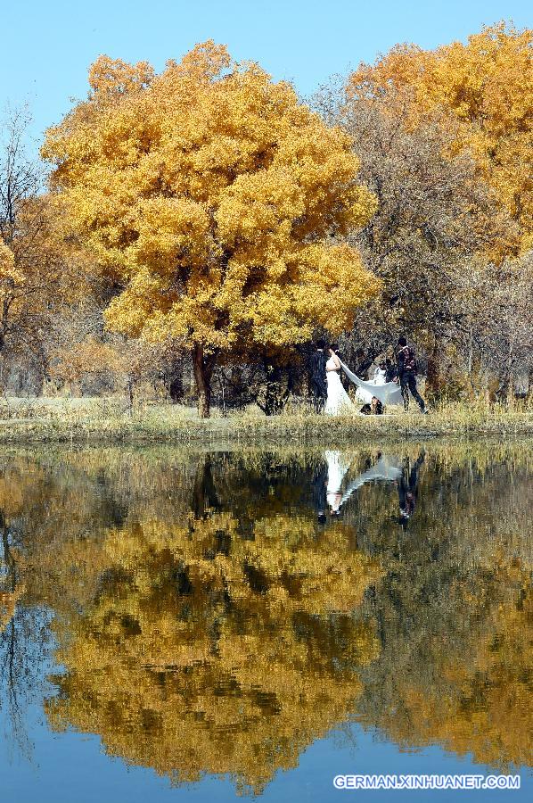 CHINA-GANSU-DESERT-AUTUMN SCENERY (CN)